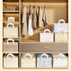 Thick transparent fabric closet
